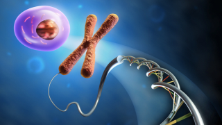 Nicely Done: US Supreme Court Slaps Down Challenge to Embryonic Stem Cell Research